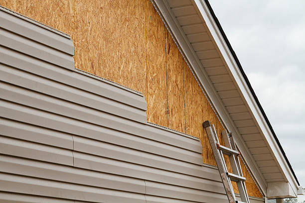 Professional Siding technician working in Willard, OH